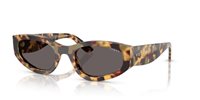 Gafas Vogue  VO5585S 260587