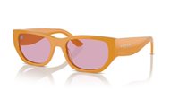 Gafas de sol Vogue  VO5586S 315976
