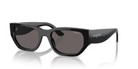 Gafas Vogue  VO5586S W44/87
